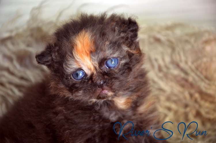 Vicky 27.janvier (3).jpg